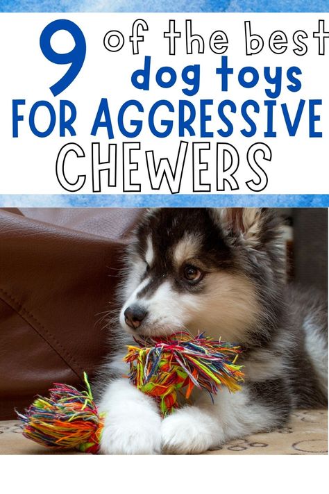 aggressive chew toys for dogs How To Make Dog Toys Diy, Diy Indestructible Dog Toys, Diy Chew Toys For Puppies, Diy Dog Toys For Heavy Chewers Easy, Diy Busy Toys For Dogs, Super Chewer Dog Toys, Best Chew Toys For Puppies, Homemade Puppy Toys, Puzzle Toys For Dogs