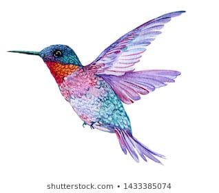 Watercolor Illustration Flying Hummingbird Isolated On Stock Illustration 618713780 Hummingbird Drawing, Hummingbird Wall Art, Watercolor Hummingbird, Hummingbird Pictures, Hummingbird Painting, Summer Wall Art, Hummingbird Art, Cat Air, Art Et Illustration