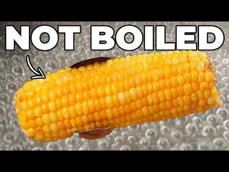 Don't Boil Your corn, you’ll thank you! - YouTube Apple Pie Moonshine Recipe, Bbq Grill Recipes, Growing Sweet Potatoes, Eggplant Zucchini, How To Cook Corn, Best Vegetables, Moonshine Recipes, Ears Of Corn, Microwave Cooking