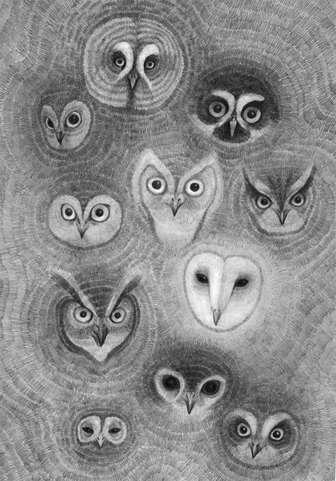 Owl Drawing, Owl Face, Face Illustration, Owls Drawing, Owl Wall, Wise Owl, Graphite Drawings, Owl Art, Arte Animal