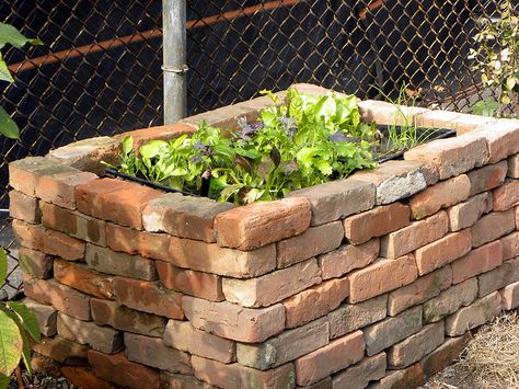 brick raised garden bed...chicken wire on the bottom deters moles... Raised Brick Garden Beds, Brick Raised Planter, Cement Brick Garden Bed, Recycled Brick Garden Bed, How To Build A Brick Raised Garden Bed, Brick Raised Garden Beds, Vegetable Garden Beds, Brick Planter, Vegetable Beds Raised