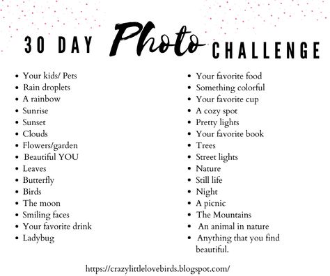 I put together this 30 day photo challenge to help you capture everyday moments. Beautiful moments, simple moments, silly moments, and just a few things in between. I think that through this challenge you will grow to love taking pictures if you don't already. Grab your camera, and let's get going!  #camera #photochallenge #challenge #photography #stilllife #family #hobby #inspire #photos #pictures #30days #30daychallenge #ideas Photo Challenge 2023, Photo Challenge Ideas, 30 Day Photo Challenge, Challenge Photography, Organization Crafts, Photography Challenges, Photography List, 52 Week Challenge, Reading List Challenge