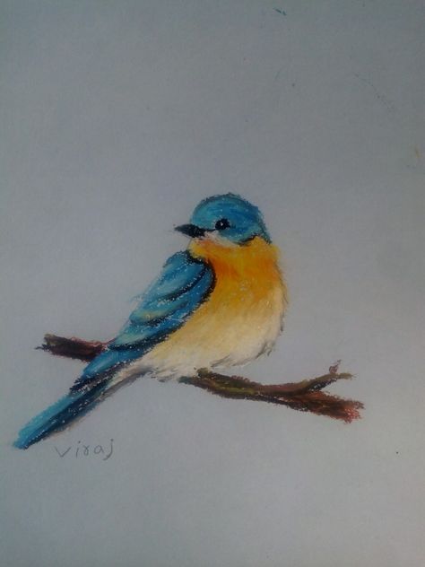 Soft Pastel Bird Drawing, Blue Bird Drawing Easy, Oil Pastel Bird, Birds Decor, Easy Bird, Painting Stuff, Oil Pastels Painting, Pastel Sec, Dry Pastel