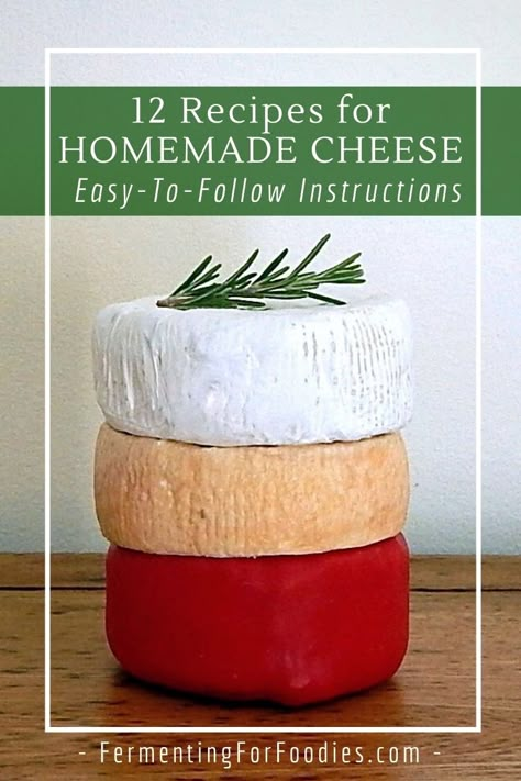 Homemade Cheese Recipes, Ricotta Cream Cheese, Rennet Cheese, Ricotta Cream, Type Of Cheese, Cheese Recipes Homemade, Fermented Dairy, Cheese Making Recipes, Making Cheese