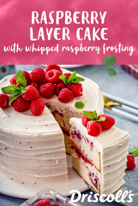 This classic layer cake skyrockets to the next level with the addition of fresh, plump raspberries. Scented with vanilla, this versatile and adaptable recipe can easily be made into cupcakes, mini loaves, or whatever pans you have on hand. And that whipped raspberry frosting? It's the literal icing on the cake. Picnic Cake Recipe, Raspberry Cakes Birthday, Small Raspberry Cake, Fresh Cake Recipe, Vanilla And Raspberry Cake, Vanilla Raspberry Cake Recipe, Fresh Fruit Cake Recipe, White Raspberry Cake, Almond Raspberry Cake Recipe