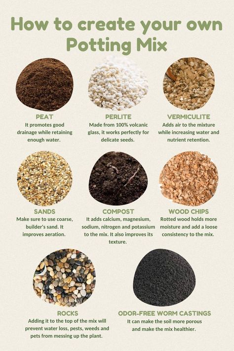 Garden Soil Mix, Good Health Tips, Garden Soil, Plant Mom, Blood Sugar Levels, Potting Soil, Wellness Tips, Growing Plants, Plant Life