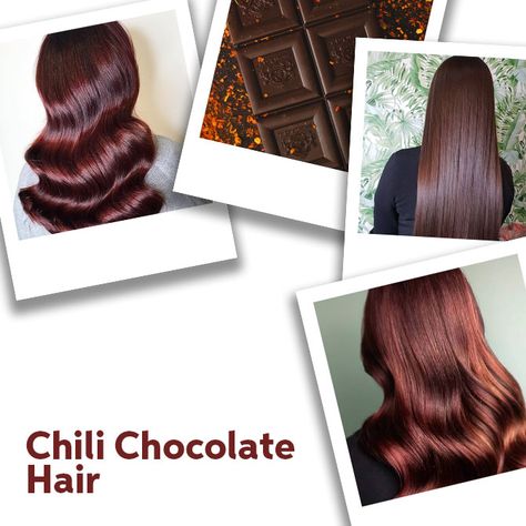 Chili Chocolate Hair Color Formulas | Wella Professionals Chocolate Chili Hair, Red Chocolate Hair Color Formula, Chocolate Copper Hair Formula, Wella Color Formulas Brown, Chocolate Brown Hair Formula, Wella Color Touch Formulas, Hair Color Formulas Wella, Brown Hair Levels, Chocolate Red Hair