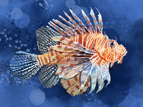 Deep Sea Creatures Art, Animal Foto, Underwater Mural, Mermaid Ideas, Sea Creatures Art, Ocean Illustration, Coral Fish, Goulash Recipes, Sea Life Art