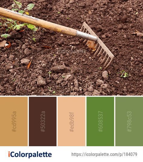 2 Mulch Color Palette ideas in 2020 | iColorpalette Seed Color Palette, Landscaping Color Palette, Soil Color Palette, Gardening Color Palette, Farm Color Pallete, Color Schemes For Herb Shop Branding, Agriculture Color Palette, Grass Colour Palette, Eco Color Palette