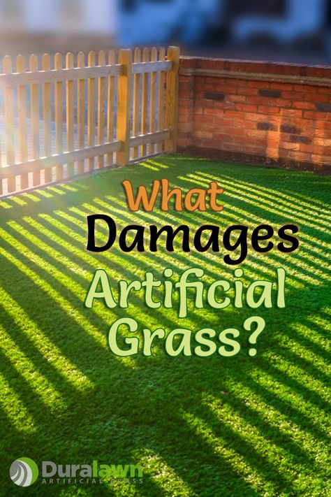 Turf Landscape Ideas, Turf Grass Backyard Ideas, Artificial Grass Landscape, Artificial Turf Front Yard Ideas, Best Grass For Dogs Backyards, How To Lay Artificial Grass Lawn, Different Types Of Grass Lawn, Chemical Burn, How To Install Artificial Grass Lawn