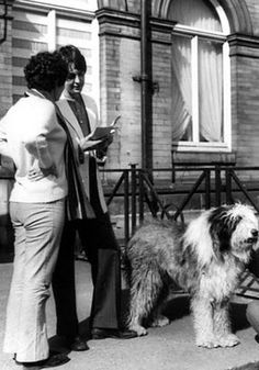 Mccartney & Martha Martha My Dear, Paul Mccartney Beatles, Paul And Linda Mccartney, Music Genius, Classic Rock And Roll, Linda Mccartney, Sir Paul, English Sheepdog, Old English Sheepdog