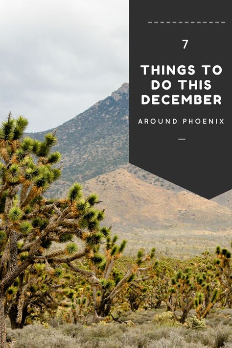 Scottsdale Arizona In December, Phoenix In December, Scottsdale In December, Arizona In December, Phoenix Apartment, Phoenix Travel Guide, Phoenix Travel, Arizona Trip, Vacation Wishes