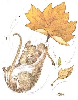 Mausam Shayari, Celebrate Each New Day, Autumn Leaves Craft, The Sky Is Falling, Chicken Coop Signs, Mouse Illustration, Mouse Drawing, Rock Painting Ideas Easy, Leaf Drawing