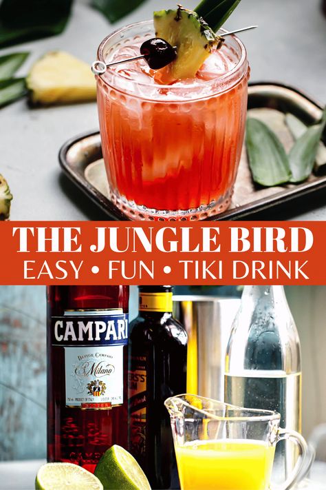 Jungle Bird Cocktail Recipe, Junglebird Cocktail, Jungle Bird Cocktail, Cocktail With Pineapple, Carribean Cocktails, African Cocktails, Easy Jungle Juice, Tiki Drinks Cocktails, Campari Drinks