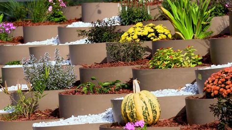 Hillside Erosion Control, Dirt Locker, Ground Grid, Terrace Gardening, Planting Fruit Trees, Sloped Backyard Landscaping, Backyard Renovation, Raised Garden Planters, Sloped Yard