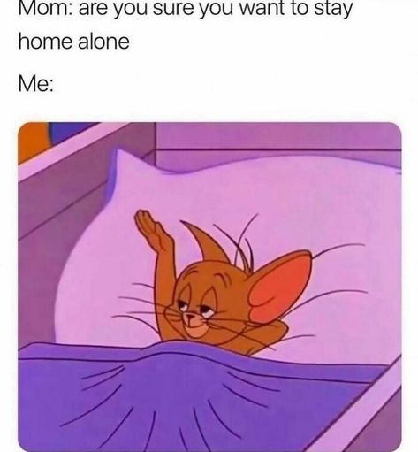 Funny-Introvert-Memes-Winningintroverts Introverts Memes Funny, Introvert Quotes Funny, Funny Introvert Quotes, Introvert Aesthetic, Introvert Meme, Introvert Funny, Social Battery, Studying Memes, Single Memes