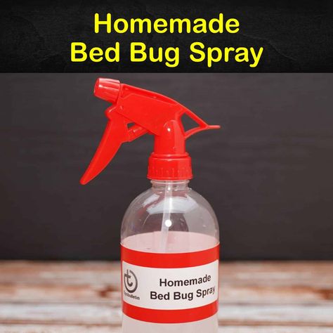 Getting Rid of Bed Bugs: 7 Homemade Bed Bug Spray Recipes and Tips Bed Bug Spray Essential Oils, Bed Bugs Spray Diy, Essential Oils For Bed Bugs, Diy Bed Bug Spray, Mattress Spray, Bed Bug Trap, How To Check For Bed Bugs, Signs Of Bed Bugs, Repellent Diy