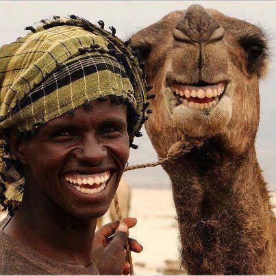 Camel Laughing                                                                                                                                                      More 웃긴 사진, Smiles And Laughs, People Of The World, All Smiles, Just Smile, 인물 사진, Happy Smile, Happy People, Smile Face