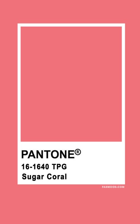 Pantone Sugar Coral 16-1640   #color #colorpalette #pantone pantone pink  #pink Pantone Coral Pink, Coral Pink Colour Palette, Tattoo Sigil, Colours Pantone, Wedding Colour Palettes, Coral Pantone, Fab Mood, Mood Wedding, Color Of The Year 2022