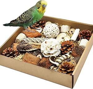 HOSUKU Natural Bird Foraging & Parrot Shredding Toys Box - Interactive Chewing and Foraging Toys for Parakeets, Cockatiels, Conures, Love Birds, and Small to Medium Birds Birds Pet, Parakeets, Chew Toy, Toy Boxes, Love Birds, Parrot, Pet Supplies, Birds, Pet