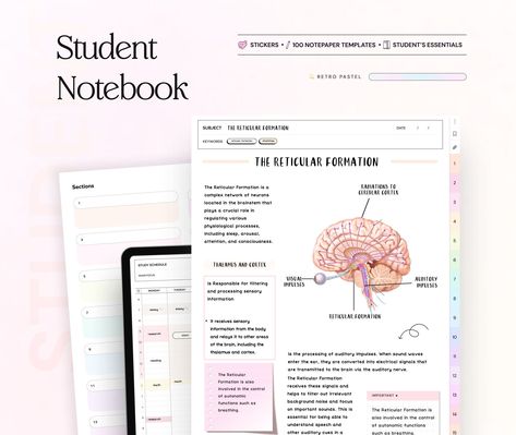 Student Digital Notebook Pastel Hyperlinked Goodnotes Templates Planner Template for Notability iPad notetaking apps college academic notes digitalplannerfreebie #goodnotestemplatesfreeplanner Academic Notes, Hyperlinked Digital Planner, Ipad Notebook, Free Notebook, Planner Writing, Notebook Templates, Notepaper, Purple Theme, Study Schedule