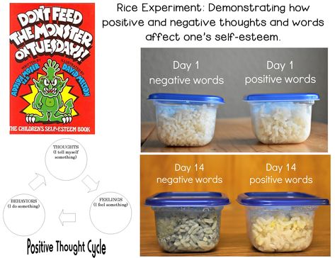 Classroom counseling lesson about self-esteem: positive/negative thought cycles and "not feeding your monster". One rice container is marked "negative" and one is marked "positive"; students are instructed to talk to the rice for 2 weeks. They may only say these kinds of words to each container of rice. Then, we compare/discuss. Words carry energy and affect the water in the rice (spoil or keep it fresh). Our bodies are 50-65% water...make the connection! Feelings Activity, Teen Activities, Elementary School Activities, Rice Container, Feelings Activities, Negative Words, Group Counseling, Counseling Lessons, Activities For Teens