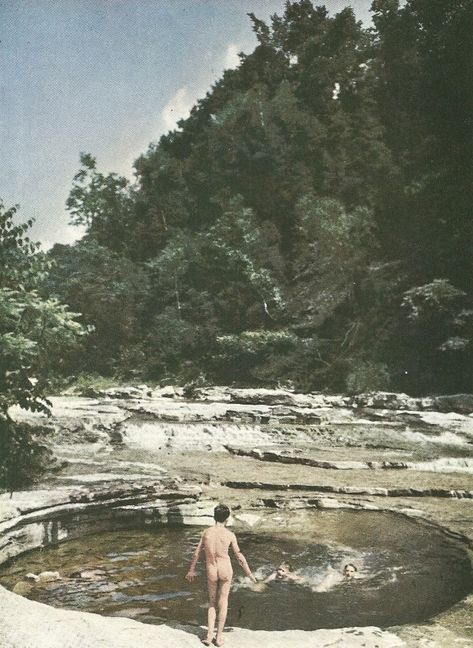 Vintage National Geographic, National Geographic Photography, Outdoor Baths, Swimming Hole, Historical Artwork, Albrecht Dürer, South Vietnam, Creepy Pictures, National Geographic Magazine