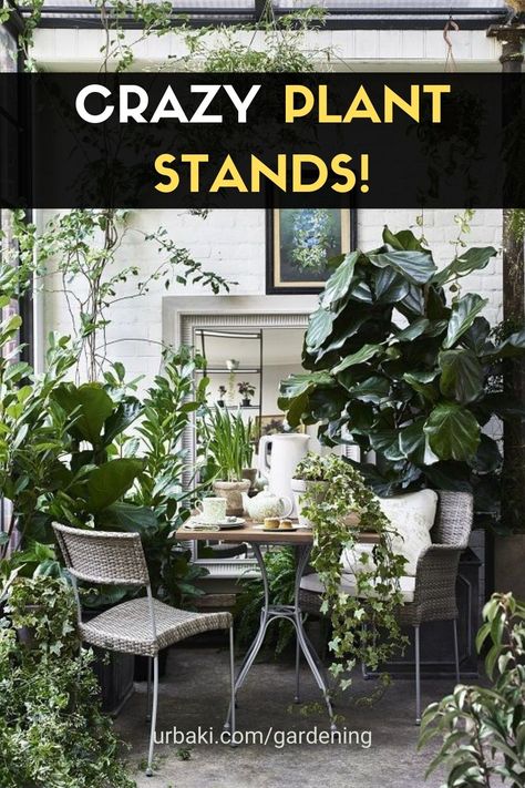 Unique Plant Stands Indoor, Plant Stand Ideas Indoor, Creative Plant Stands, Hanging Planter Ideas, Diy Plant Stands, Too Many Plants, Potted Plants Patio, Tall Indoor Plants, Tall Plant Stands