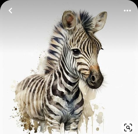 Baby Zebra Drawing, Zebra Drawing, Class Theme, Baby Zebra, Christmas Drawing, Baby's Room, Zebras, Wild Animals, Animals Wild