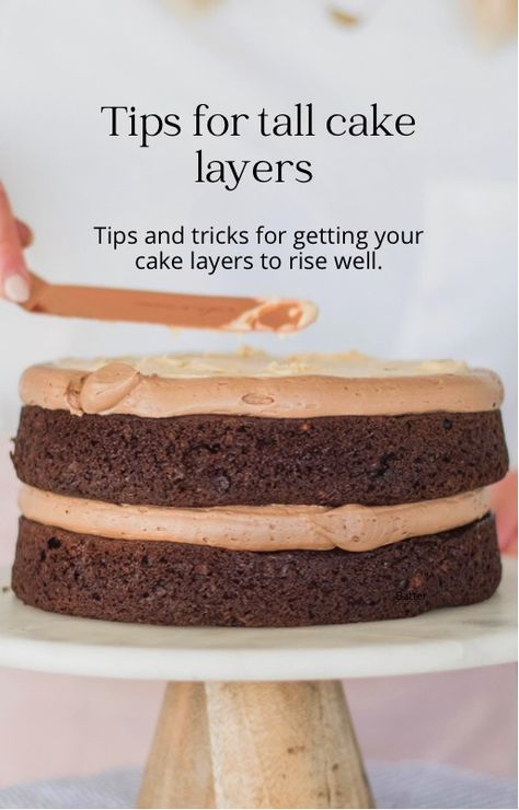 How to Bake Tall Cake Layers | Cake by Courtney Tall Round Cake, Cake By Courtney, 12 Inch Cake, Tall Cake, Two Layer Cakes, 60th Birthday Cakes, Bake Cake, Tall Cakes, Cake Layers