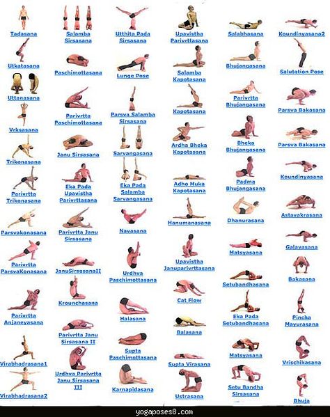 All Yoga Asanas, Yoga Asanas Names, Yoga Ashtanga, Yoga Kundalini, Yoga Vinyasa, Yoga Poses Names, Beginner Yoga, Easy Yoga Poses, Yoga Posen