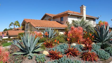 Desert Landscape Design, Xeriscape Landscaping, Drought Resistant Plants, Drought Tolerant Landscape, Desert Garden, Ground Cover Plants, Desert Landscape, Desert Plants, Landscape Ideas