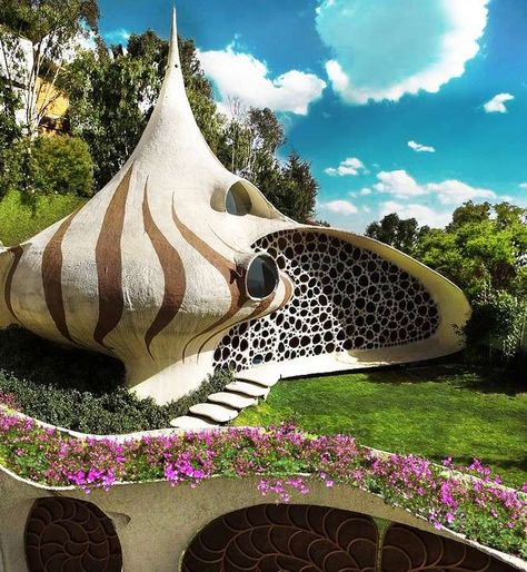 Nautilus House, Architecture Cool, Architecture Unique, Crazy Houses, Organic House, Earthship Home, Shell House, Unusual Buildings, Unusual Homes