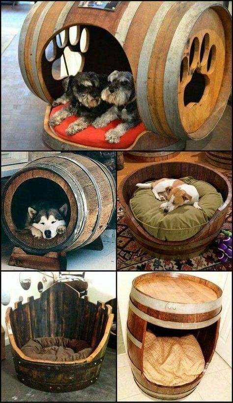 Dogs House, Wooden Barrels, Diy Dog Kennel, Woodwork Projects, Dog House Diy, Diy Dog Bed, Wine Barrels, Pictures Of Dogs, Dog Rooms