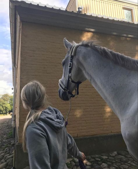 Adam Groff, Arte Ganesha, Horsey Life, Horse Riding Aesthetic, Horses Equestrian, Equestrian Aesthetic, Cute Horse Pictures, Horse Aesthetic, Equestrian Lifestyle