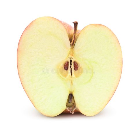 Apple Cross Section, Half Apple Drawing, Apple Reference, Half Eaten Apple, Apples Drawing, Half An Apple, Half Apple, Apple Drawing, Coffee Apple