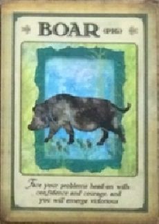 boar Animal Totem Spirit Guides, Spirit Animal Meaning, Animal Meanings, Spirit Signs, Animal Spirit Guide, Spiritual Animal, Animal Spirit Guides, Angel Tarot, Animal Medicine