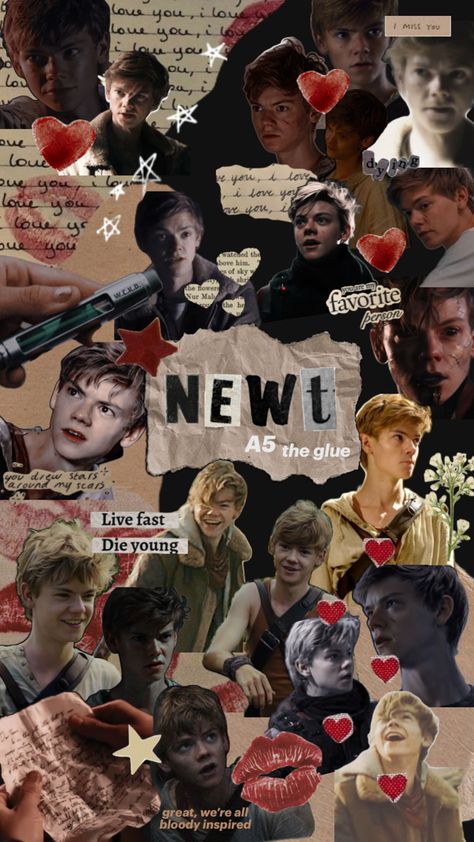 Newt “The Maze Runner” wallpaper Maze Runner Computer Wallpaper, Newt And Thomas Wallpaper, Maze Runner Minho Wallpaper, Newt Maze Runner Wallpaper Iphone, Newt Wallpaper The Maze Runner, Newt Background, Newt Tmr Aesthetic, Maze Runner Wallpaper Iphone, Newt X Yn Imagines Spicy