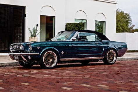 Revology is known for our authentic reproduction 1960s Mustangs and Shelby GTs, but we also offer our clients the option to custom build their Revology vehicles exactly how they want them.  Built for a client in the Middle East, #48 is finished in House of Kolor Teal, with 18” Forgeline LS3 wheels in Medium Anodized Bronze.  The interior is trimmed in dark brown Mercedes Nappa leather with contrasting gold stitch, and features our JL Audio premium sound system. 1967 Mustang Convertible, Convertible Pictures, 67 Ford Mustang, Mercedes Auto, 67 Mustang, 1967 Mustang, Old Vintage Cars, Classic Mustang, Mustang Convertible