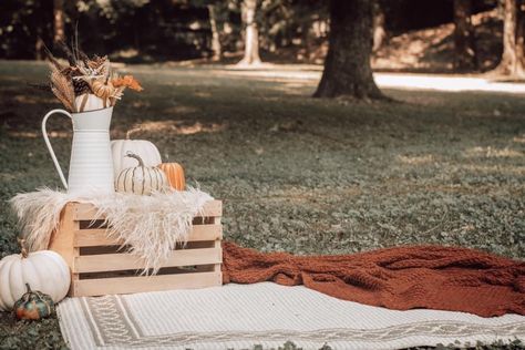 Autumn Mini Sessions Outdoor, Easy Fall Mini Session Ideas, Fall Studio Photoshoot Ideas, Mini Photo Session Ideas Fall, Props For Fall Photoshoot, Simple Fall Photography Set Up, Fall Mini Shoot Outdoor, Outdoor Photo Prop Ideas, Fall Setup Photography