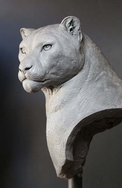 ArtStation - Snow Leopard (2016), Hatch Effects Panther Sculpture, Cat Sculpture, Animal Anatomy, Animal Sculpture, Lion Art, Animal Statues, Ceramic Animals, Pottery Sculpture, Arte Fantasy