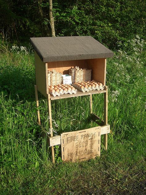 Cool.... honesty boxes.. If only there were no thieves... Selling Eggs, Best Egg Laying Chickens, Free Range Eggs, Vegetable Stand, Egg Laying Chickens, Eggs For Sale, Coop Ideas, Backyard Chicken Farming, Free Range Chickens