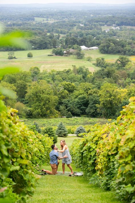 Looking for the best place to propose in DC? Here are 15 location ideas: https://www.jonflemingphotography.com/blog/where-to-propose-in-washington-dc Proposal Ideas Nj, Hiking Near Washington Dc, Washington Dc Proposal, Best Photo Spots Washington Dc, Meridian Hill Park Dc Engagement, Best Places To Propose, Virginia Wineries, Roosevelt Island, Jefferson Memorial