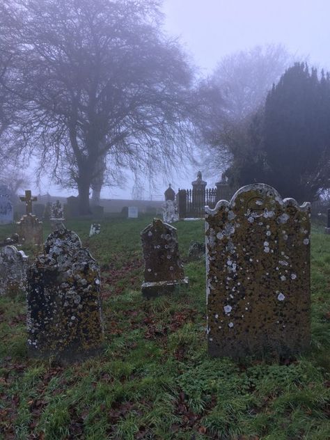 Irish Aesthetic, Hill Of Tara, Irish Witch, Dark Irish, Ireland Aesthetic, Old Cemeteries, Southern Gothic, Gothic Aesthetic, Son In Law