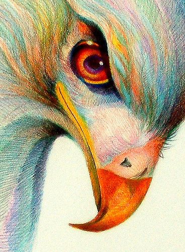 two-decade colored pencil on vellum paper, 5 x 7. Drawing Hair, Art Pastel, Colored Pencil Drawing, Color Pencil Art, Arte Animal, Pencil Portrait, Art And Illustration, Bird Drawings, Color Pencil Drawing