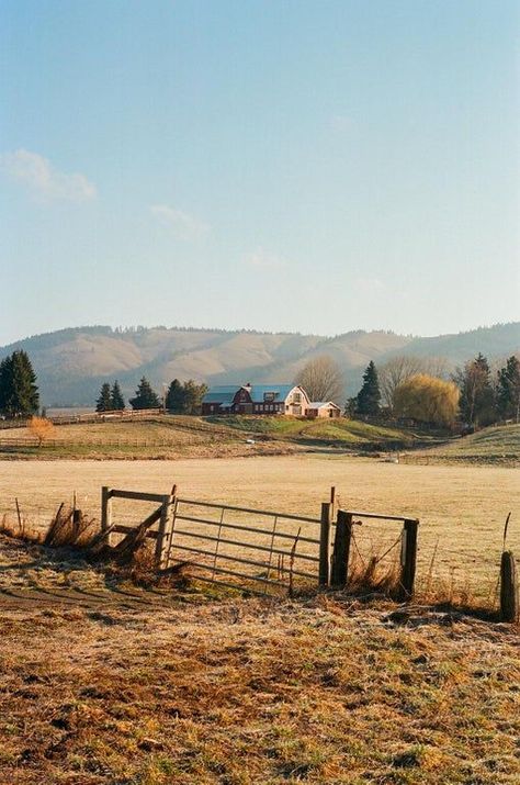 Tis Autumn, Aesthetic Finds, Nikon F2, Rural Photography, Films Photography, Ektar 100, Analogue Photography, Photography 35mm, Farm Photography