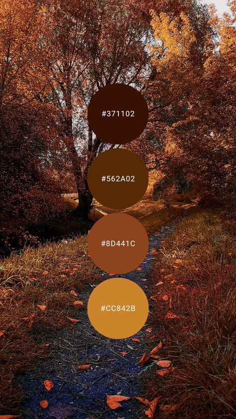 Dark warm brown and orange are beautifully contrasted with gold / mustard. Try it in the master / primary bedroom, kitchen, library, or dining room. #colourpalette #colorpalette #colour #color #palette #autumn #fall #orange #red #brown #gold #leaves Mustard And Brown Bedroom, Chocolate Brown Complimentary Colors, Dark Orange Interior Design, Red And Gold Room Aesthetic, Dark Brown Palette Colour Schemes, Autumn Colour Pallet, November Colour Palette, Brown Orange Bedroom, Warm Pallet Colors