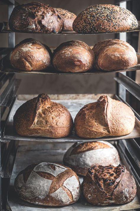 dough, sourdough, bread, bread making, sourdough bread, loaf, loaves, photography, styling, food, food photography, new zealand, flour, bakery, rack, racks Bread And Roses, Bakery Store, New Zealand Food, Sourdough Bread Recipe, Types Of Bread, Our Daily Bread, Food Photographer, Sourdough Recipes, Bakery Bread