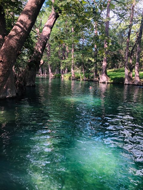 Blue Hole Texas, Texas Destinations, Texas Vacations, Blue Hole, Road Trips, Travel Fun, Bucket List, Austin, Road Trip