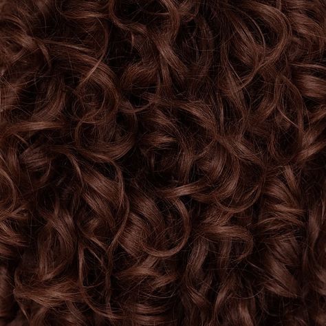 Bronze Hair Aesthetic, Brown Curls Aesthetic, Bronze Curly Hair, Chestnut Brown Hair Curly, Curly Red Hair Aesthetic, Dark Ginger Curly Hair, Chocolate Curly Hair, Auburn Hair Black Women, Light Brown Auburn Hair